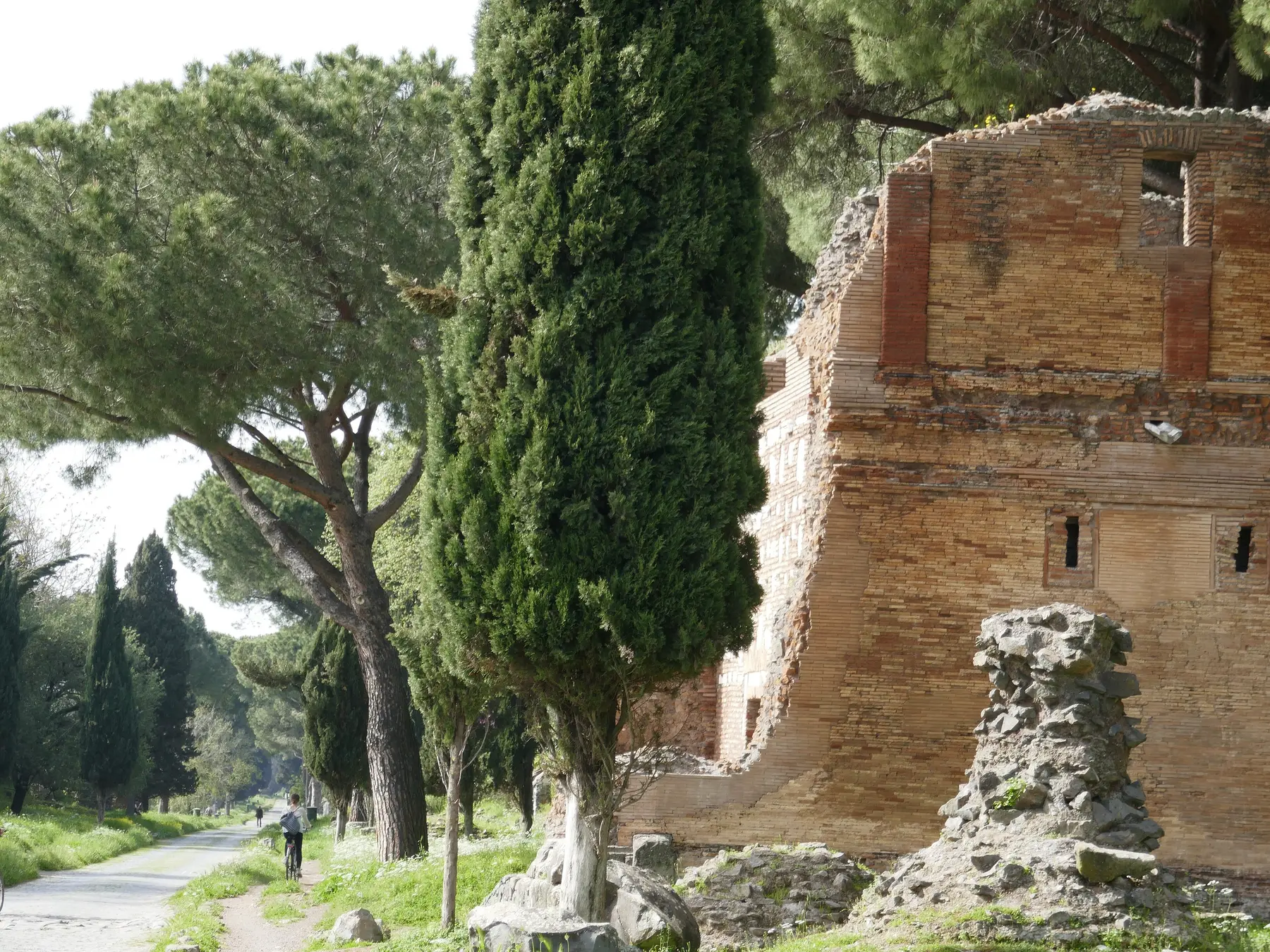 A brick Roman tomb beside the Appian Way, with a cypress and an umbrella pine and a cyclist on the path beyond.