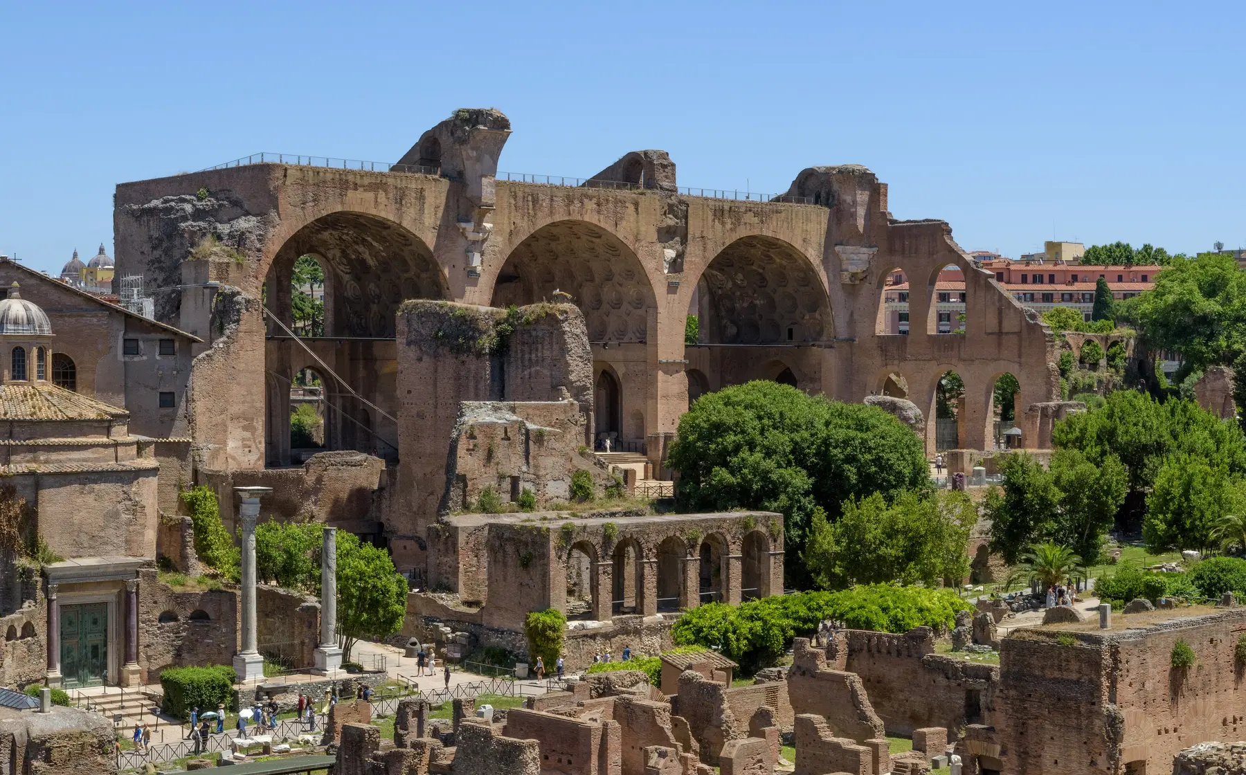 The great vaulted arches of the Basilica of Maxentius rising over the greenery of the Roman Forum.