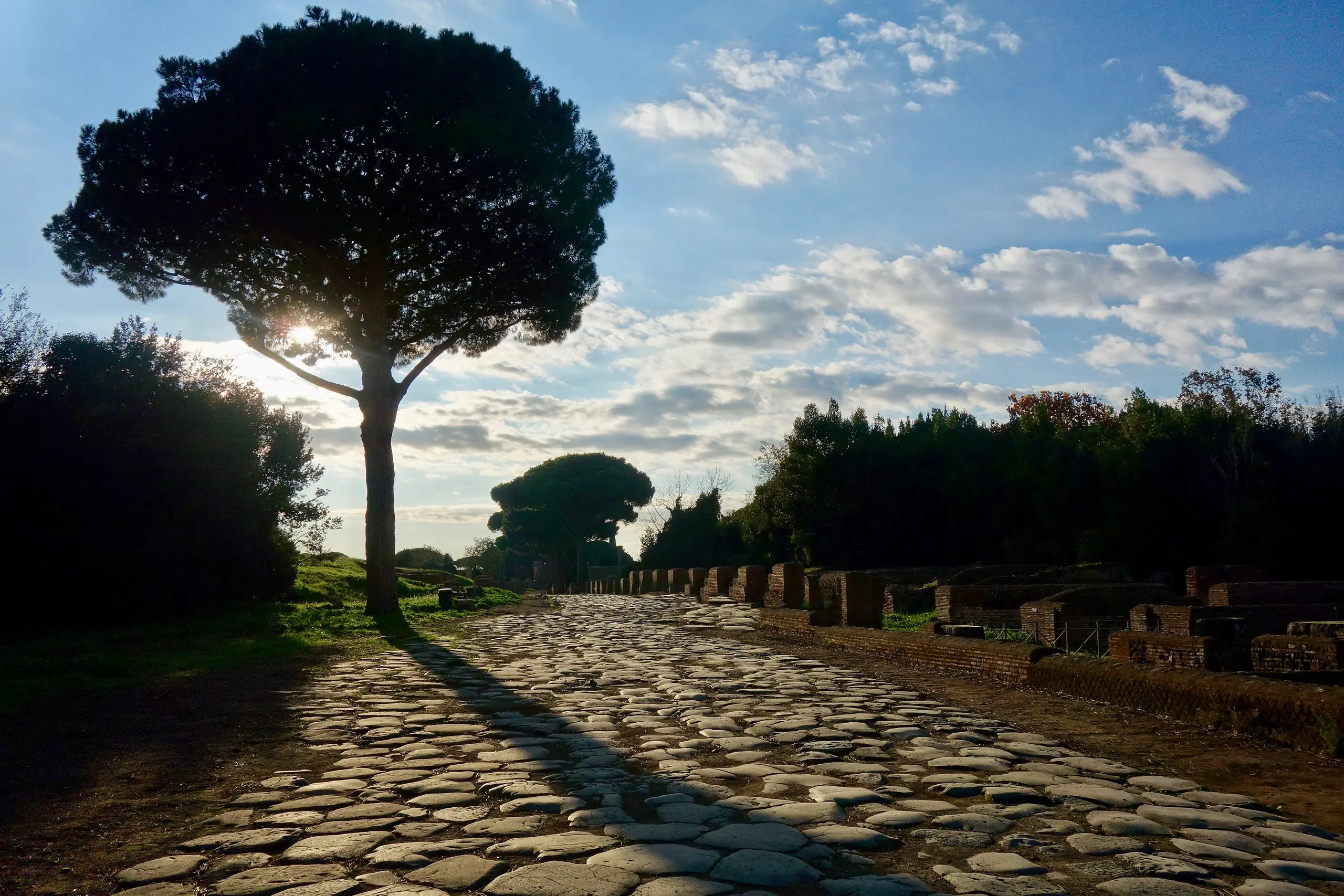 The ancient paved street of Ostia Antica running between low brick ruins under an umbrella pine, the sun low behind it.
